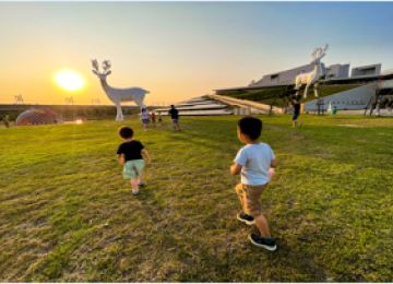 (「太陽能樹大草坪」示意圖)