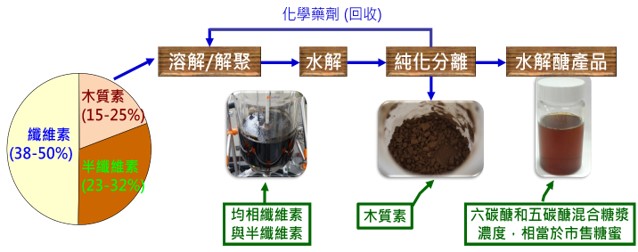 木質纖維素解聚產醣技術相關圖片